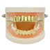 Grillz Luxo Cravejado ICE - com Molde de Silicone para ajustar - ICE BRO JOIAS